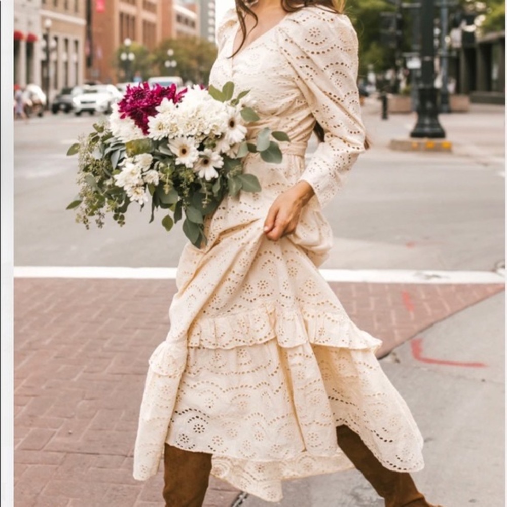 Ivy City Co Ava dress BNWT